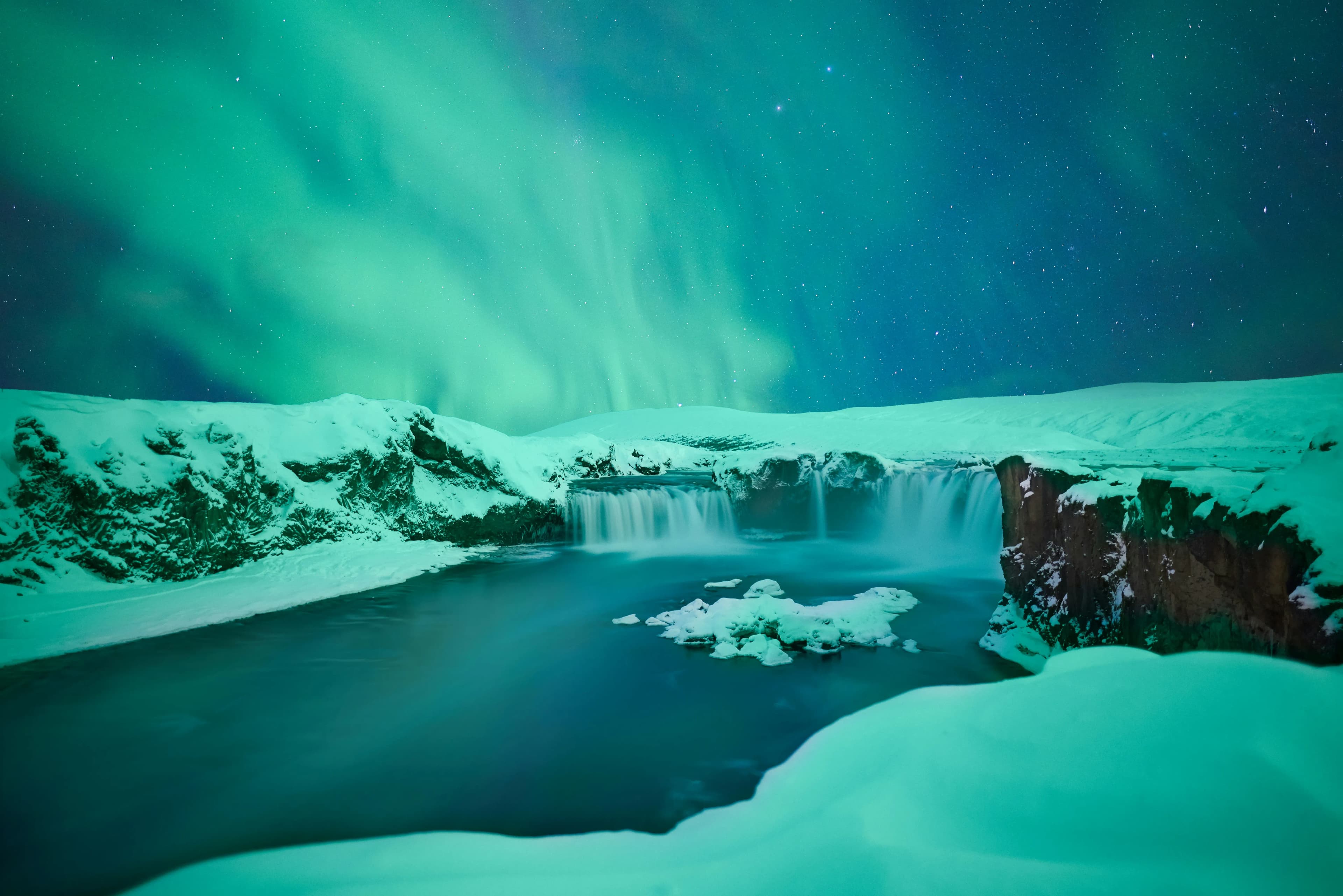 Aurora over snow-covered trees in Lapland