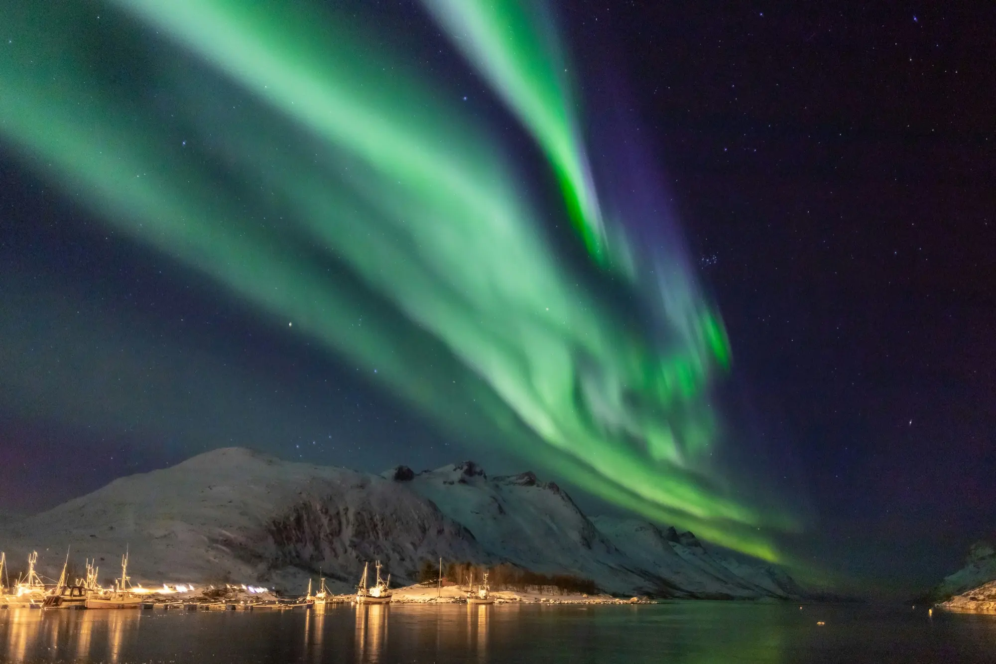 Sweeping green aurora over a Norwegian fishing harbour