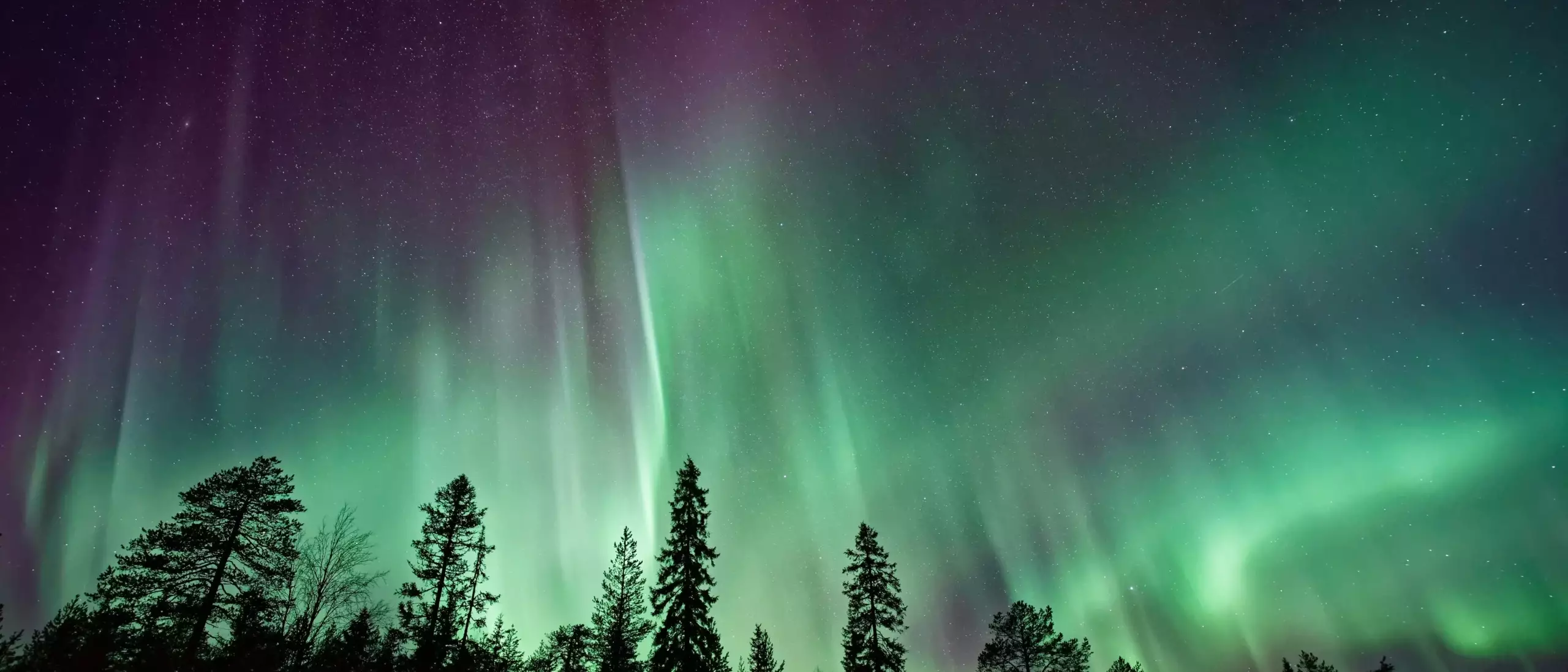 Northern lights in Fairbanks