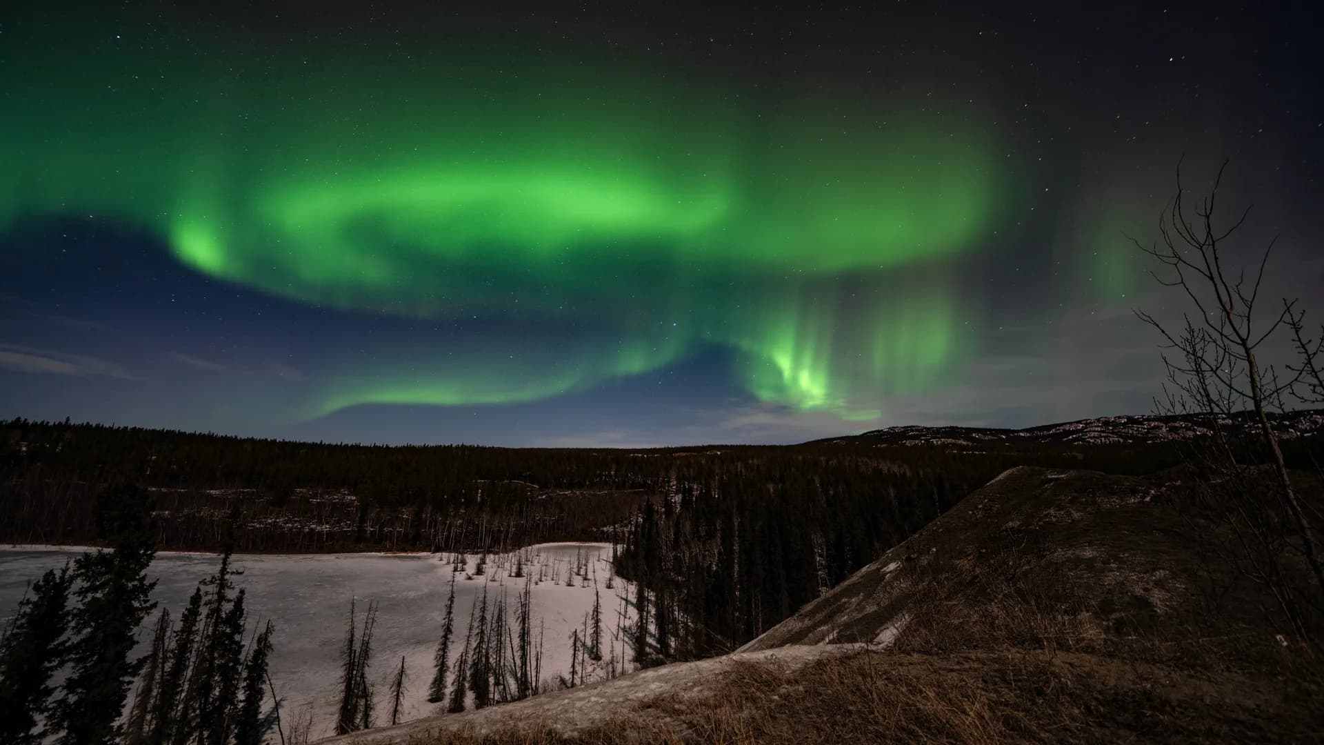 Northern lights in Whitehorse