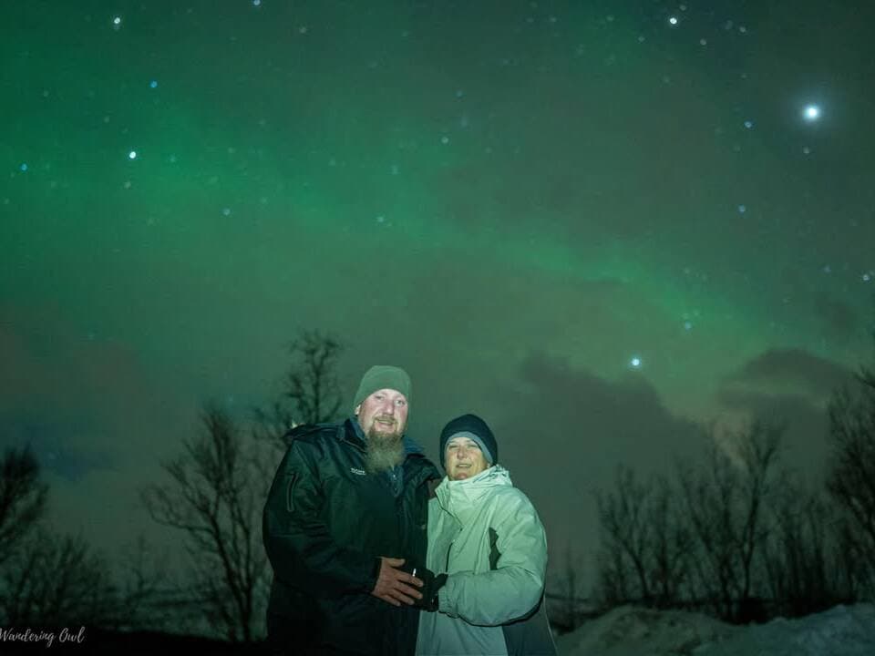 Northern lights dancing over the Arctic